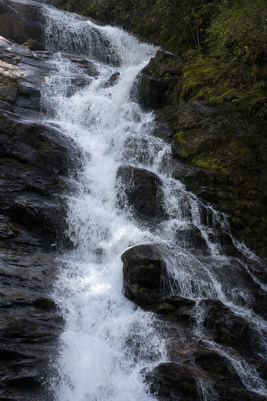 Close view of the cascading water at Anna Ruby Falls near Helen, Georgia shows the powerful flow tumbling over layered rock formations. White water froths and sprays as it hits protruding boulders midway down the falls. The dark gray and brown granite is slick with moisture and patches of bright green moss cling to crevices in the rock. Water droplets hang in the air, creating a fine mist that coats nearby vegetation. The force of the falling water has carved smooth channels into the stone over thousands of years. Small pools form in depressions along the rock face before overflowing to continue the descent. The constant moisture supports thick moss growth that appears vibrant against the darker stone. This perspective emphasizes the raw power and constant motion of the mountain stream as it plunges toward the base.