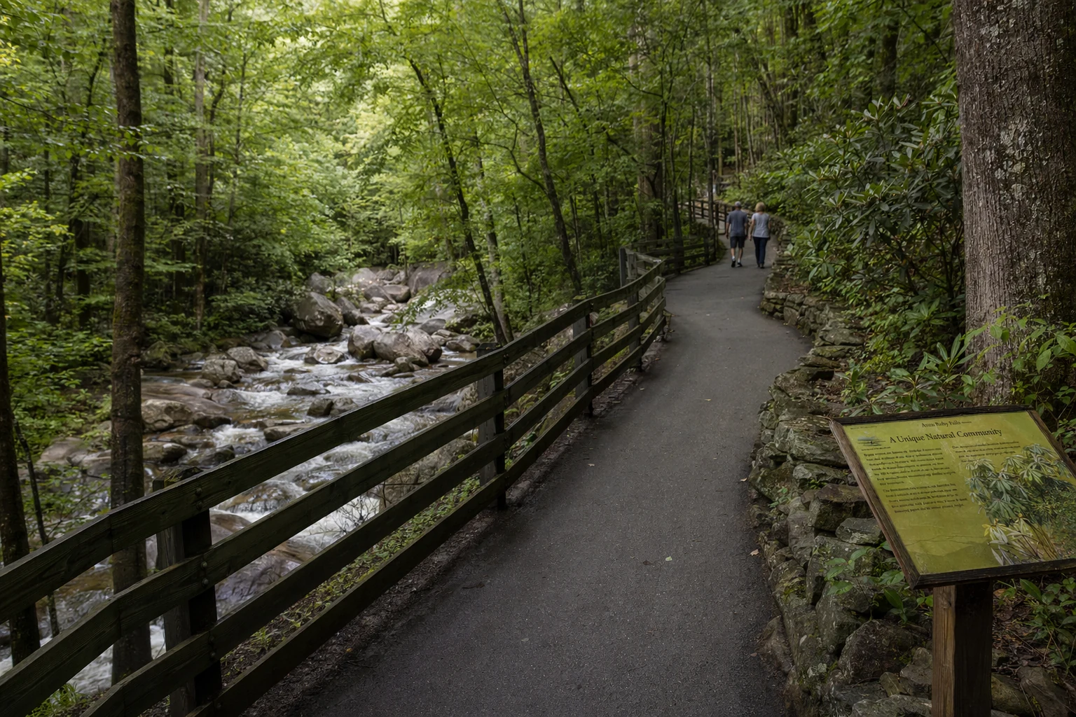 The paved walking trail to Anna Ruby Falls winds through Chattahoochee National Forest near Helen, Georgia with Smith Creek flowing alongside. The half-mile accessible trail features a smooth asphalt surface suitable for wheelchairs and strollers. Dense forest of oak, maple, and hemlock trees creates a canopy overhead, casting dappled shade across the path. Wooden railings line sections of the trail where it runs close to the creek. Large boulders and rock outcroppings appear along the stream bank. Interpretive signs are mounted on wooden posts at intervals along the route, providing information about the local ecosystem. The trail gradually inclines as it approaches the falls viewing platform. Forest understory includes mountain laurel, ferns, and wildflowers depending on season. The sound of rushing water grows louder as the path nears the waterfall destination.
