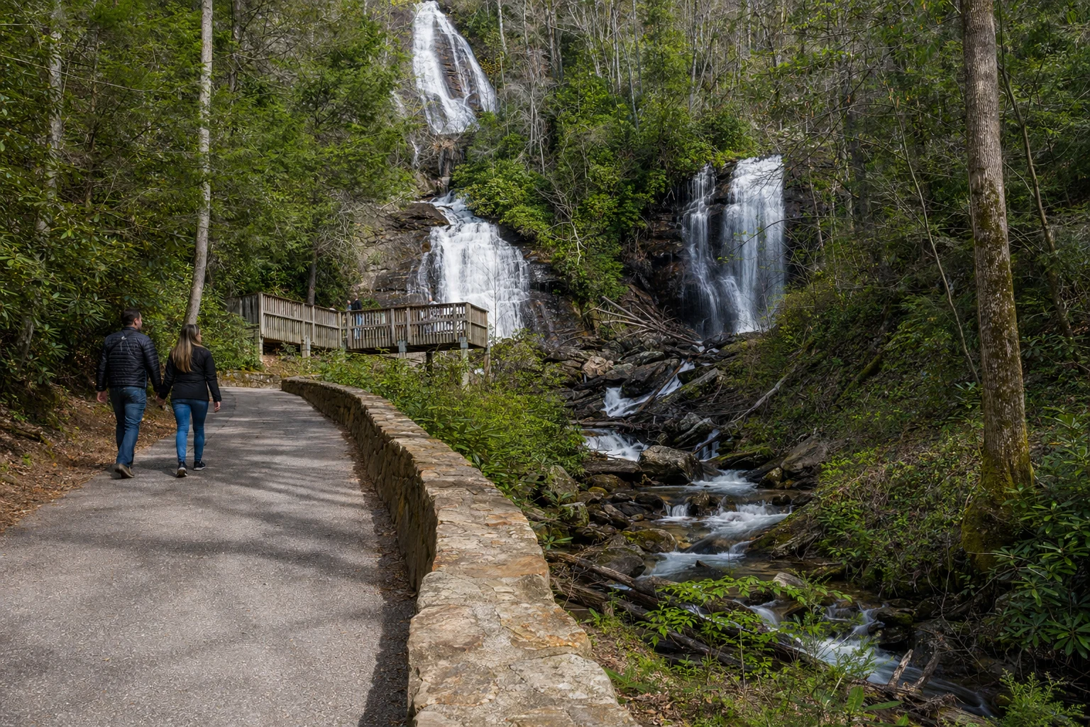 Anna Ruby Falls Trail