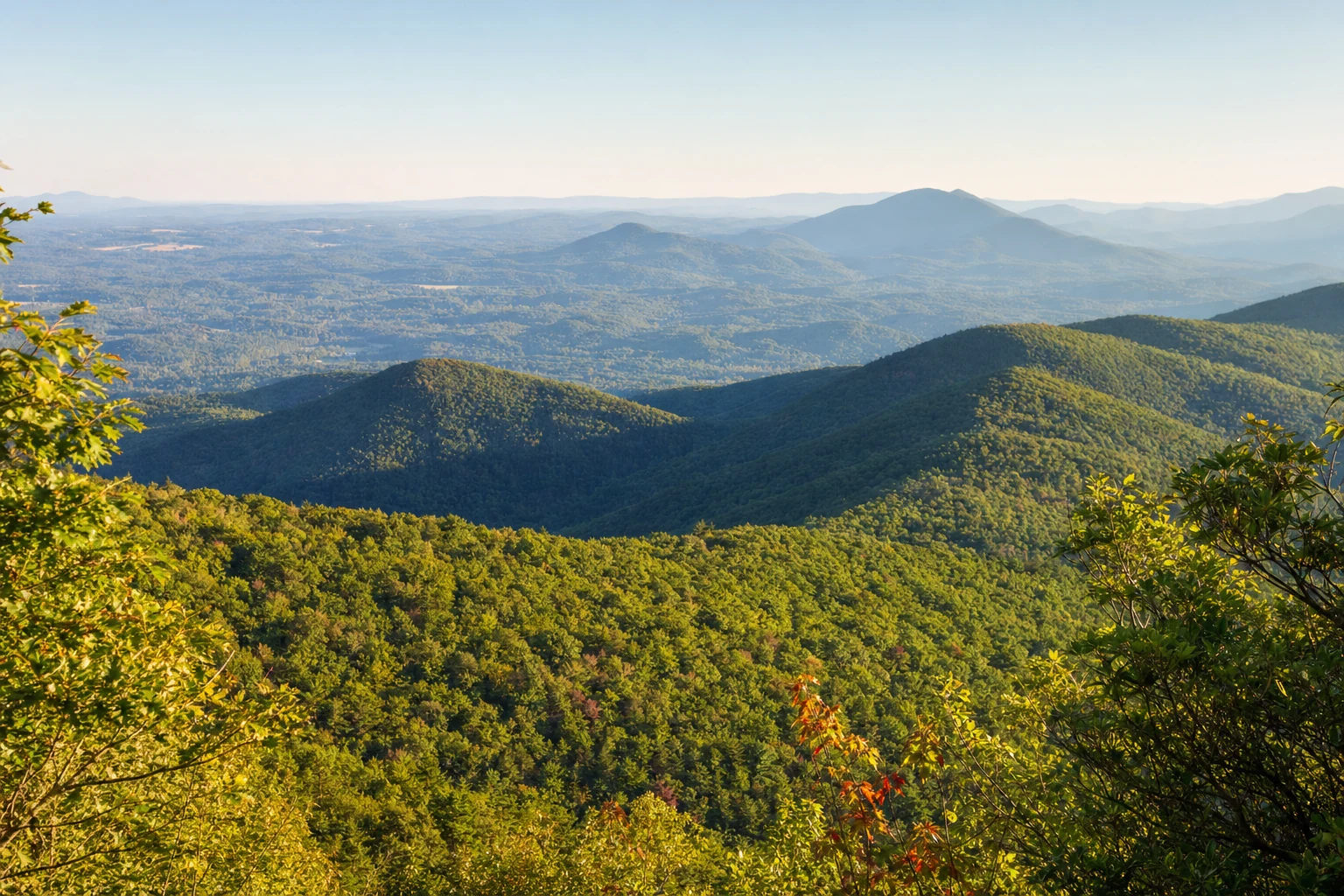 Appalachian Trail, North Georgia