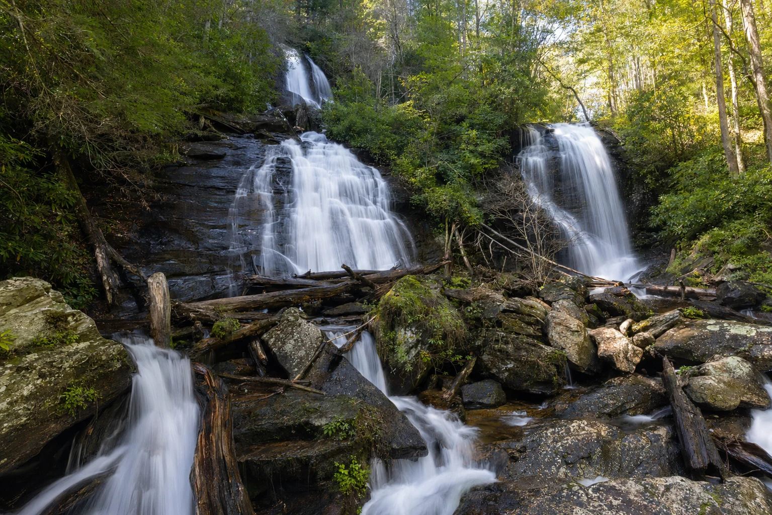 Attractions & Things to Do