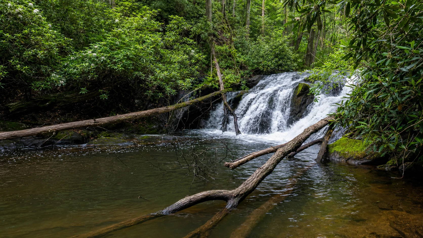 Smithgall Woods