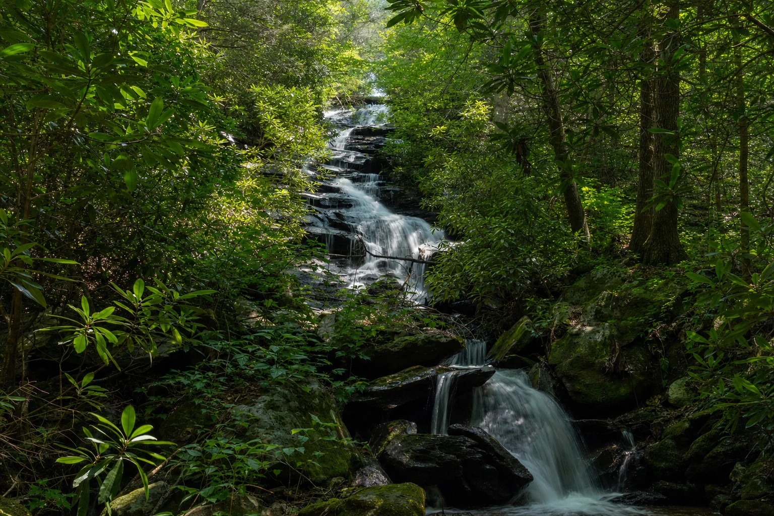 Chattahoochee Wildlife Management Area