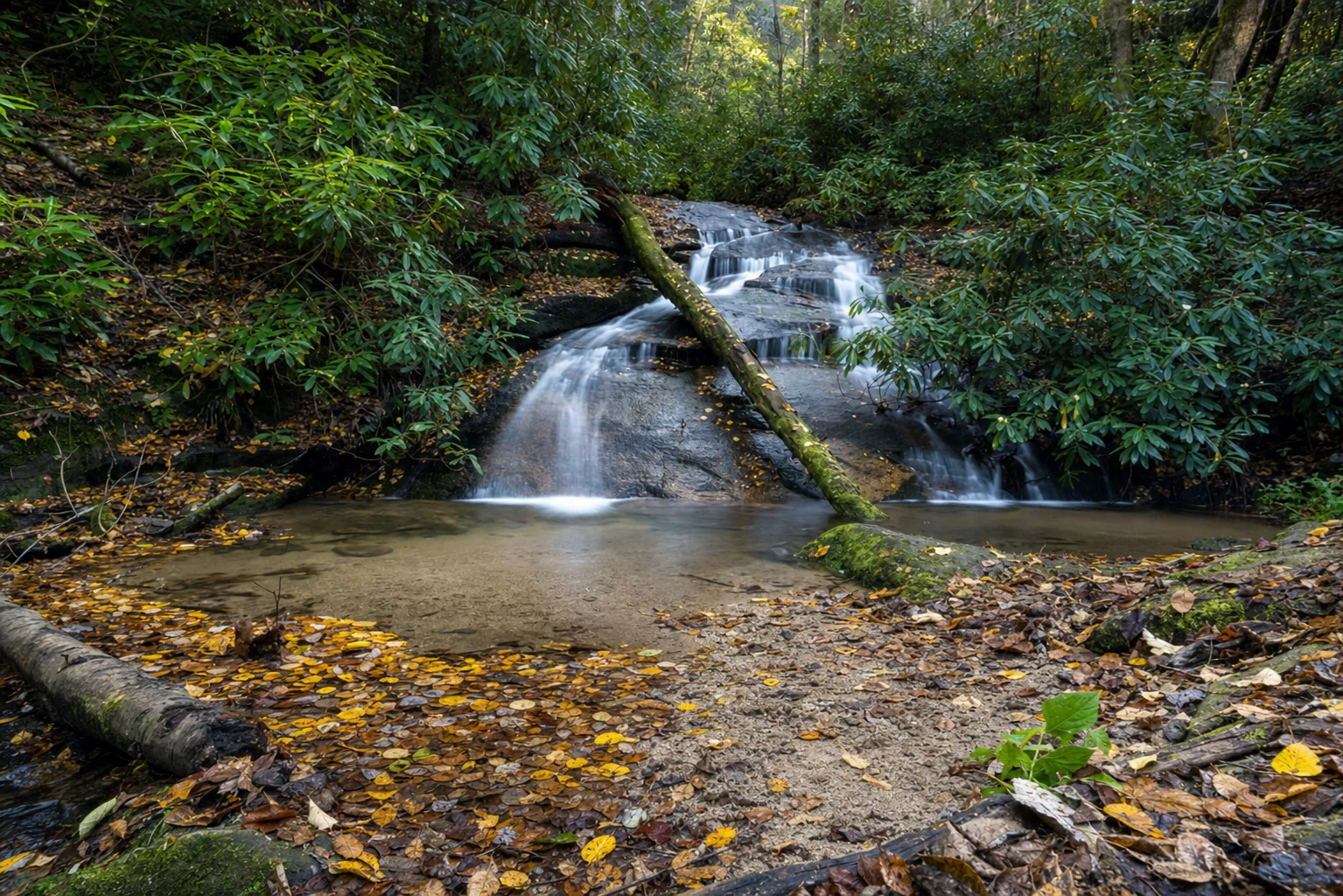 James E. Edmonds Backcountry Trail