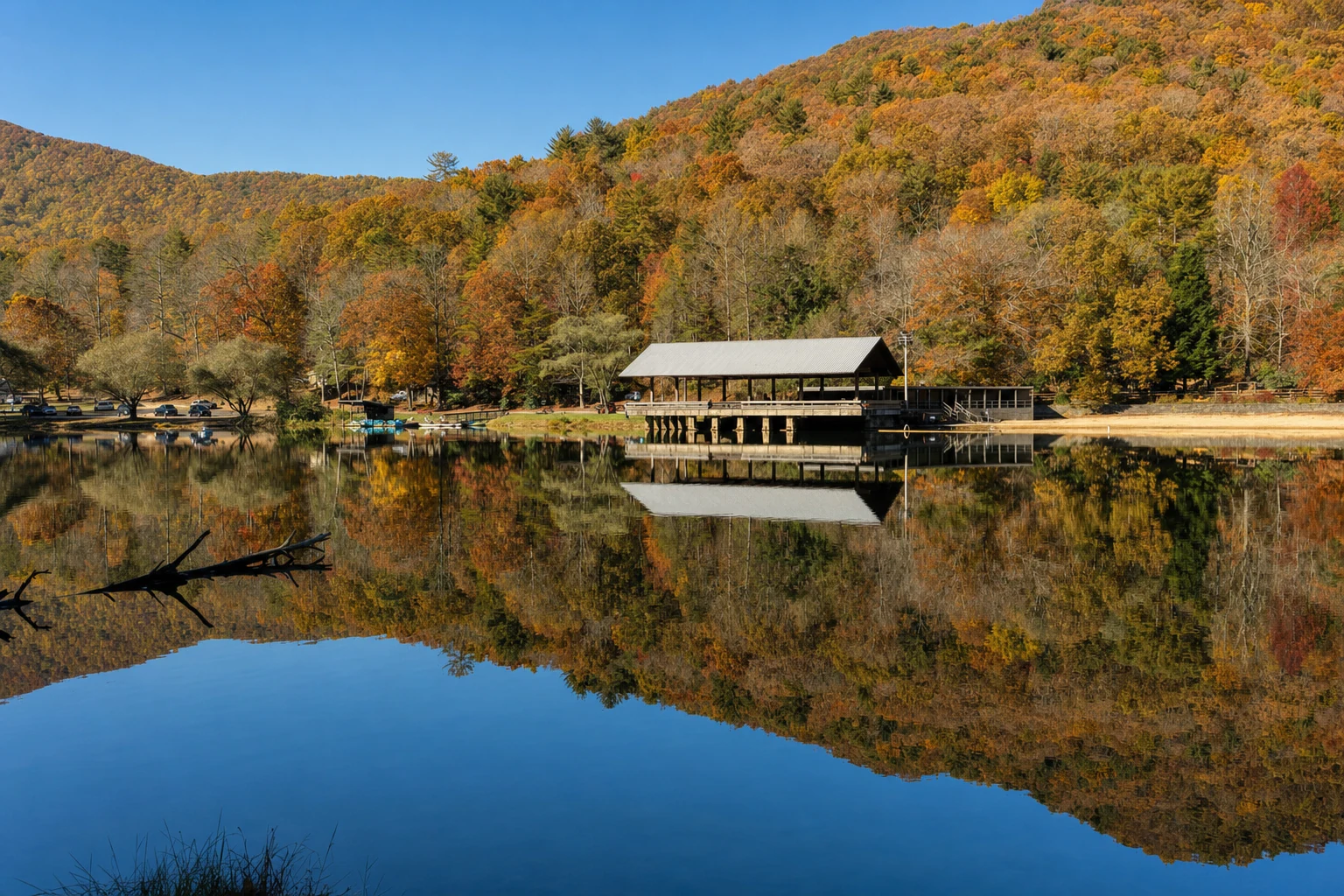 Vogel State Park