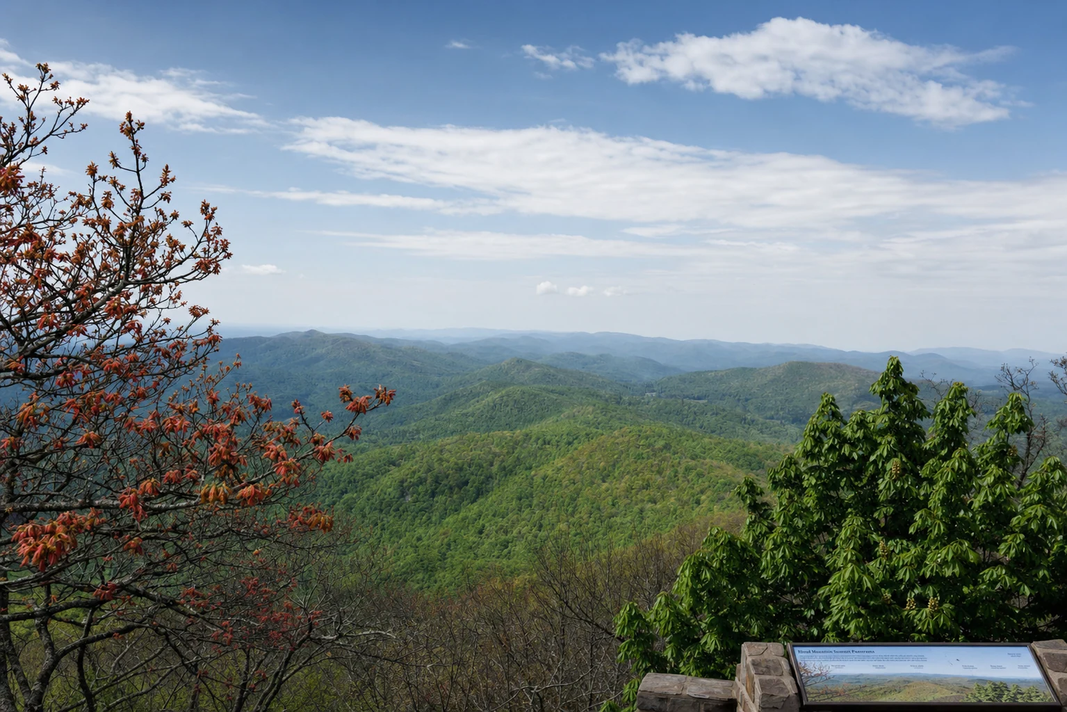 Blood Mountain Summit Panorama