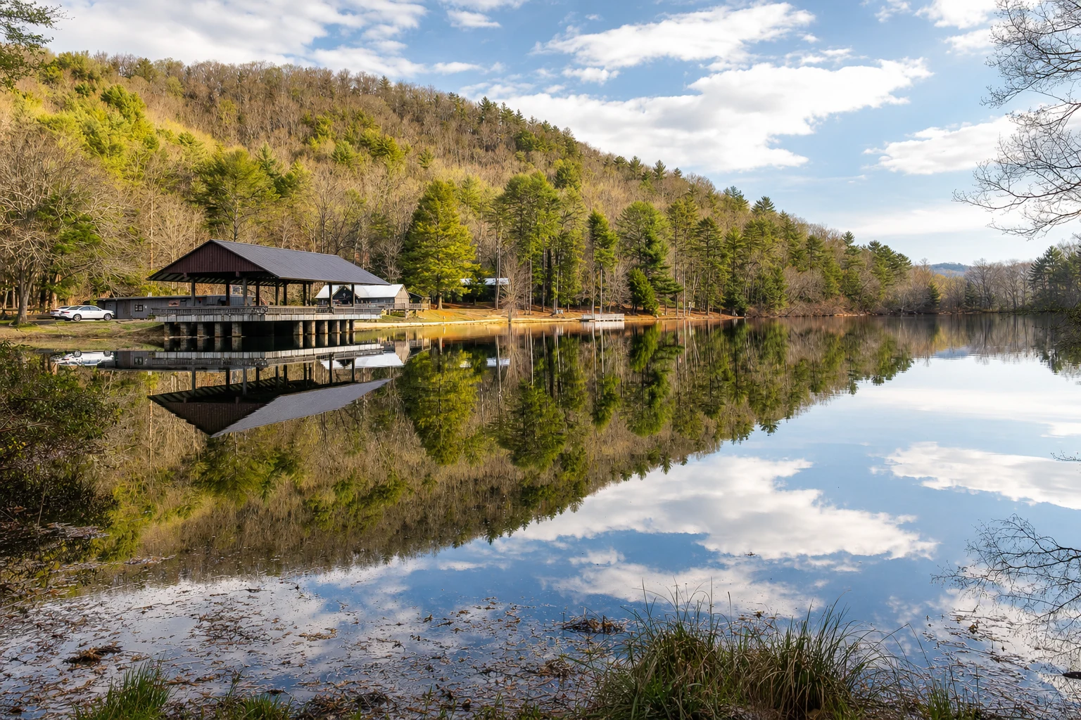 Vogel State Park