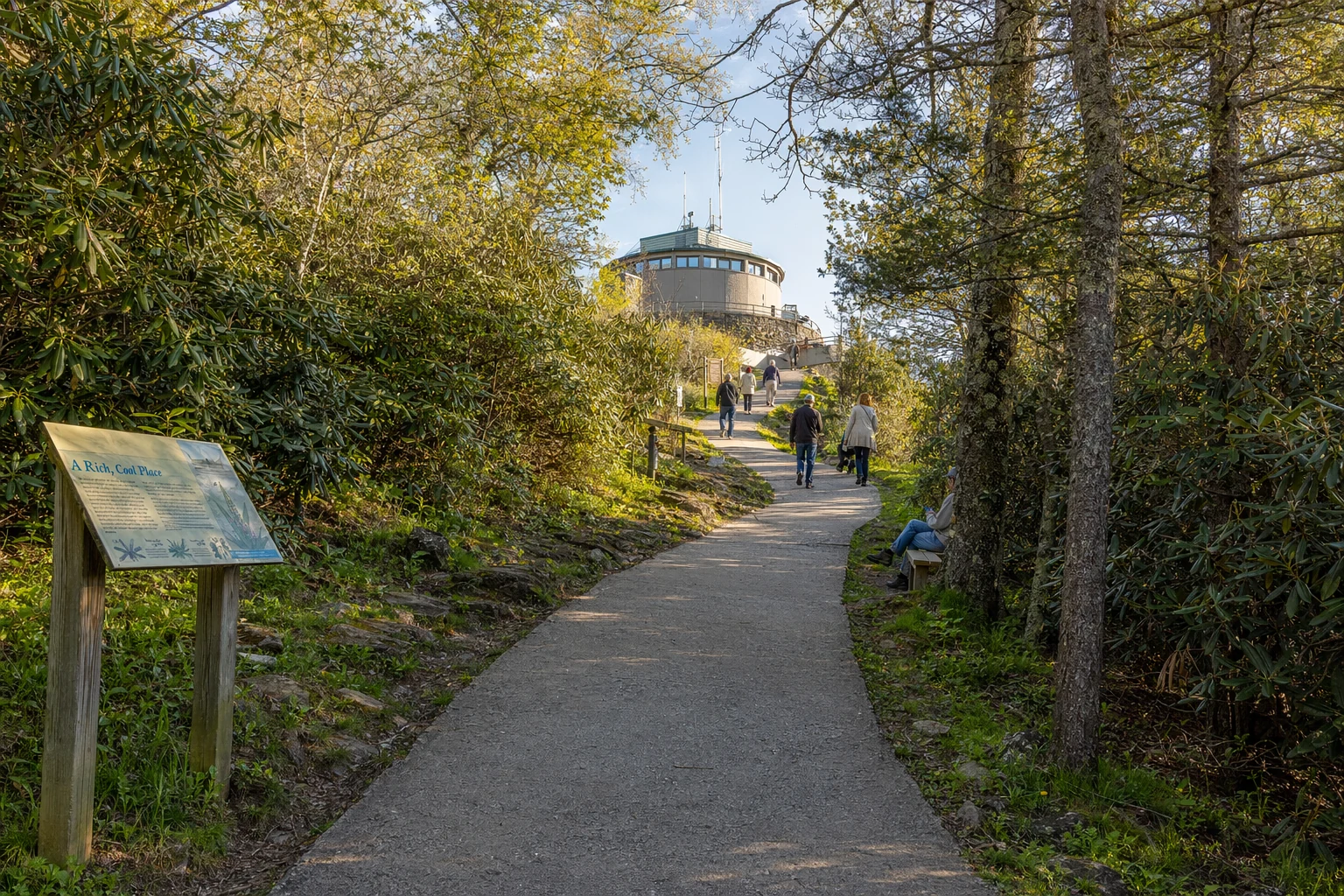 The paved walkway ascending to Brasstown Bald summit winds upward through mountain terrain in the Chattahoochee National Forest near Helen. The half-mile trail climbs steeply from the visitor center parking area, with concrete pavement making the 600-foot elevation gain accessible. Rhododendron and mountain laurel crowd the path edges, their glossy evergreen leaves catching dappled sunlight filtering through the overhead canopy. Interpretive signs along the route explain the unique ecology of Southern Appalachian high-elevation environments. Hikers make their way up the incline, some pausing at benches positioned at intervals. The observation tower is visible ahead at the top. During peak visitation seasons, this trail sees steady foot traffic from visitors eager to reach Georgia's highest point and experience the panoramic views.