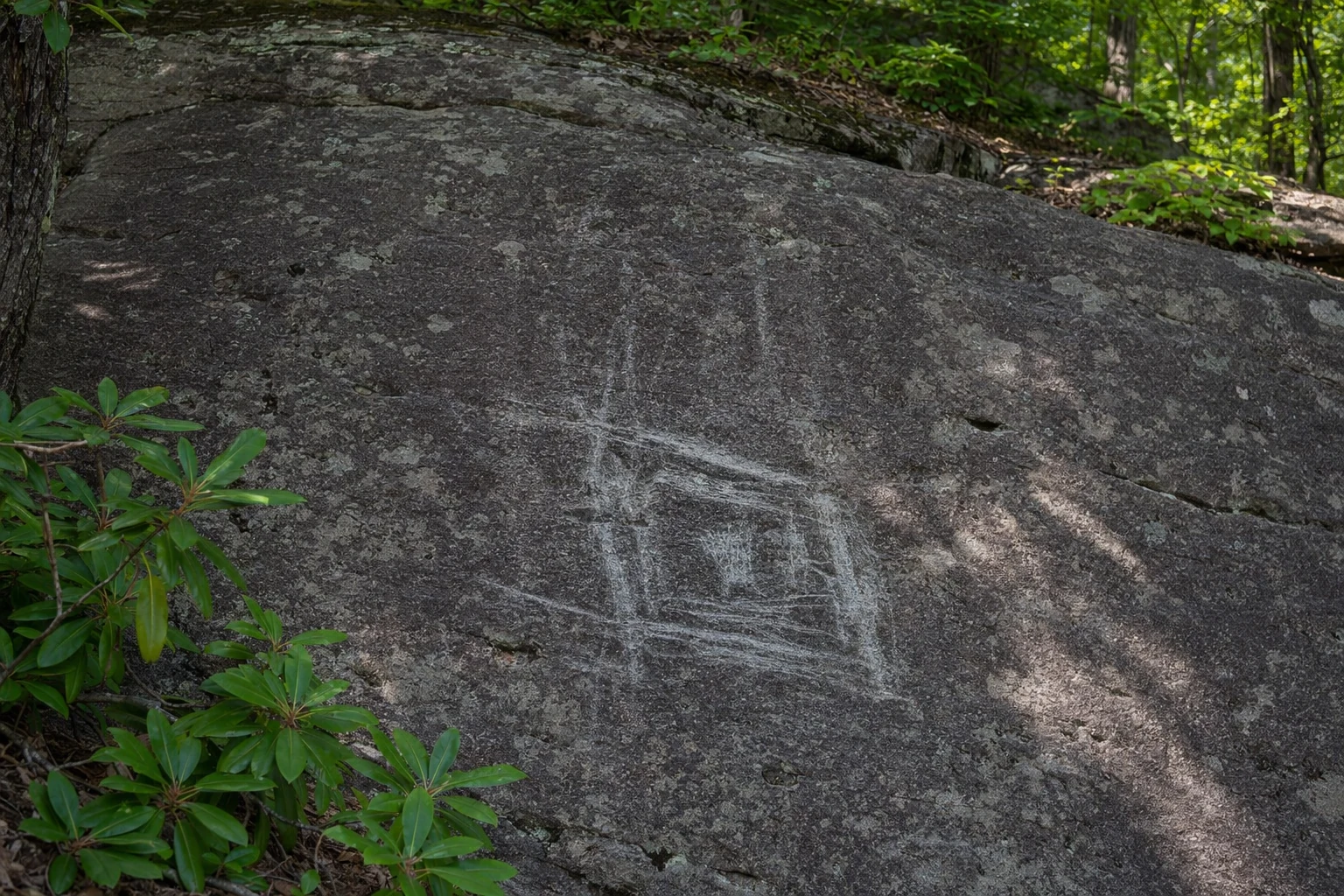 Track Rock Gap Petroglyphs