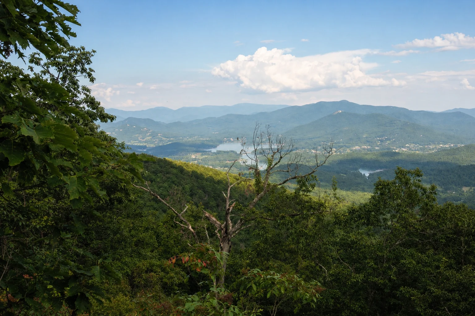 Miller Trek Trail