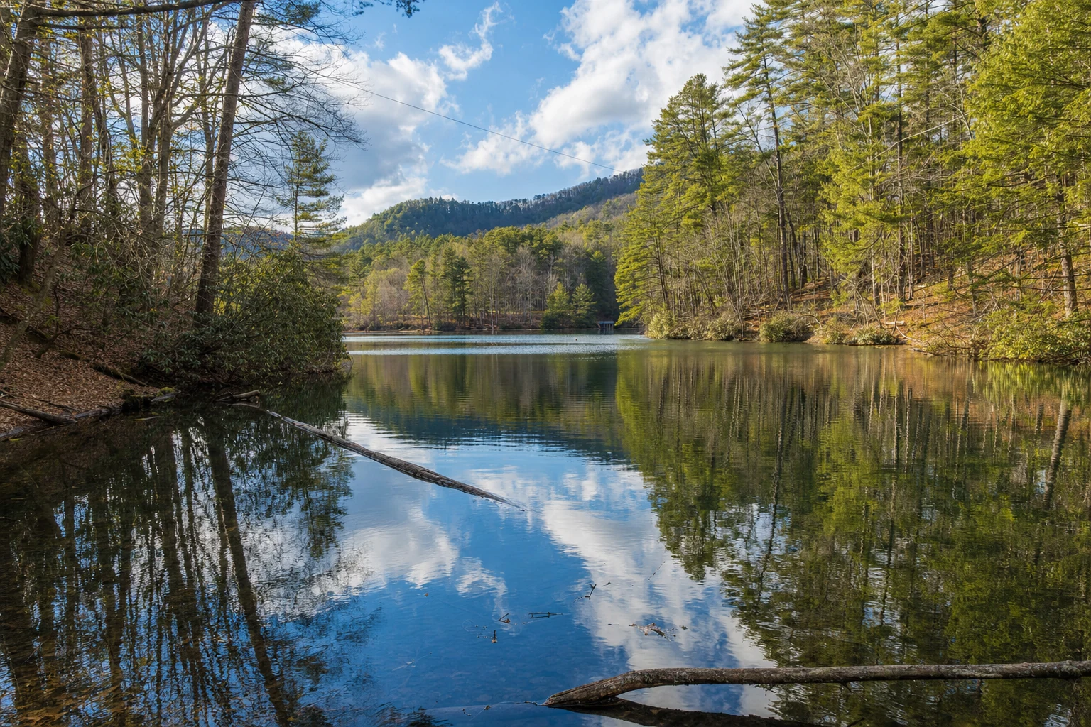 Unicoi Lake