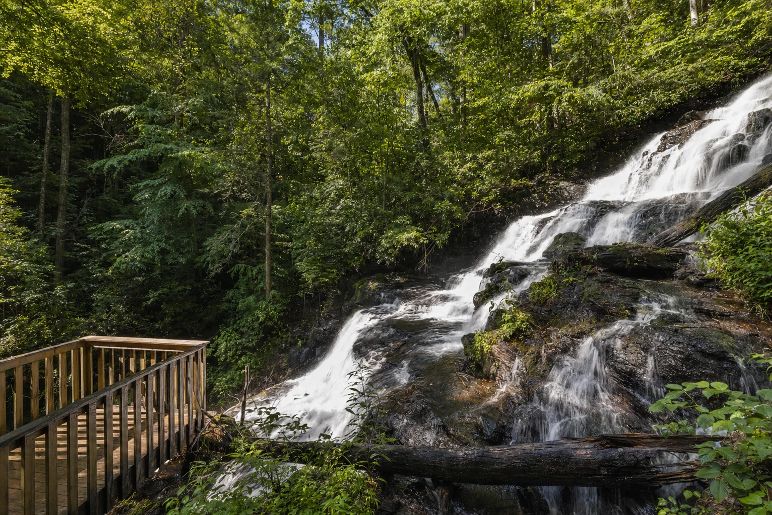 Vogel State Park