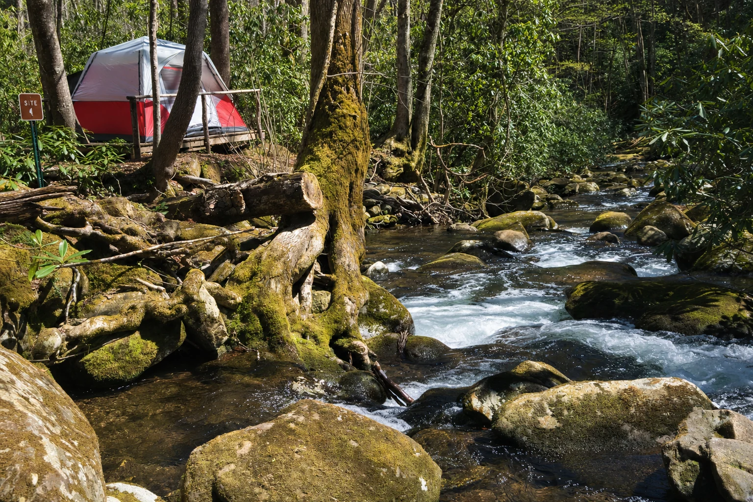 DeSoto Falls Campground