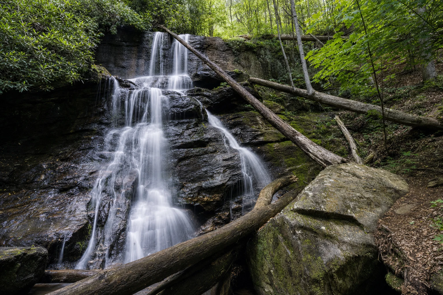Lower DeSoto Falls