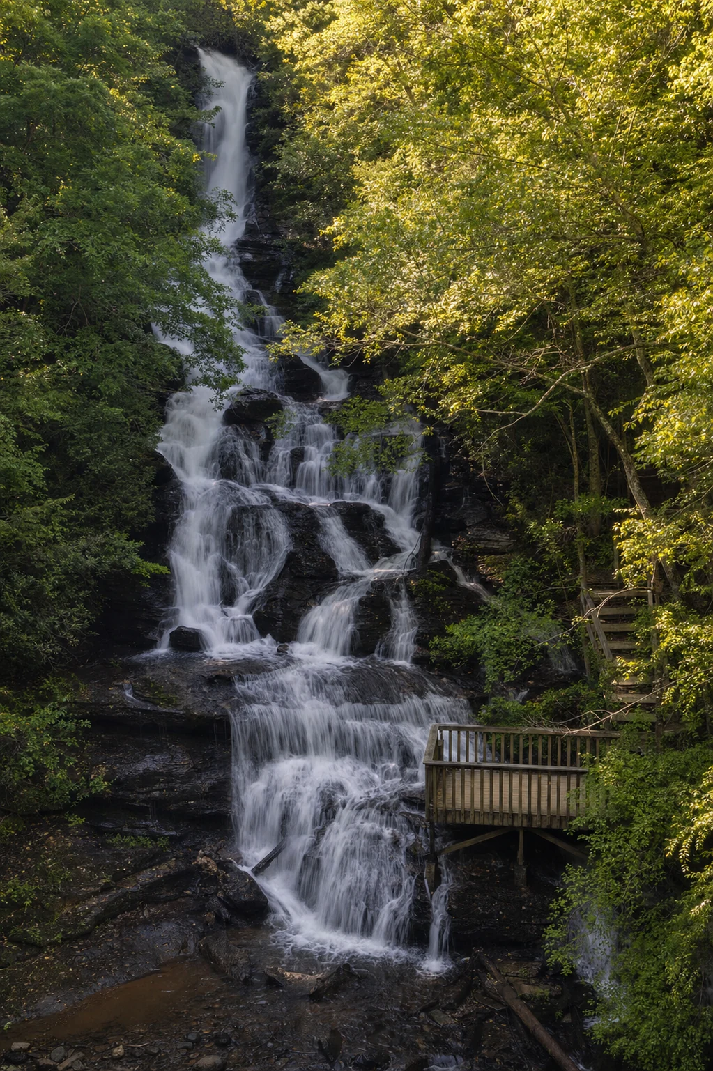 Vogel State Park