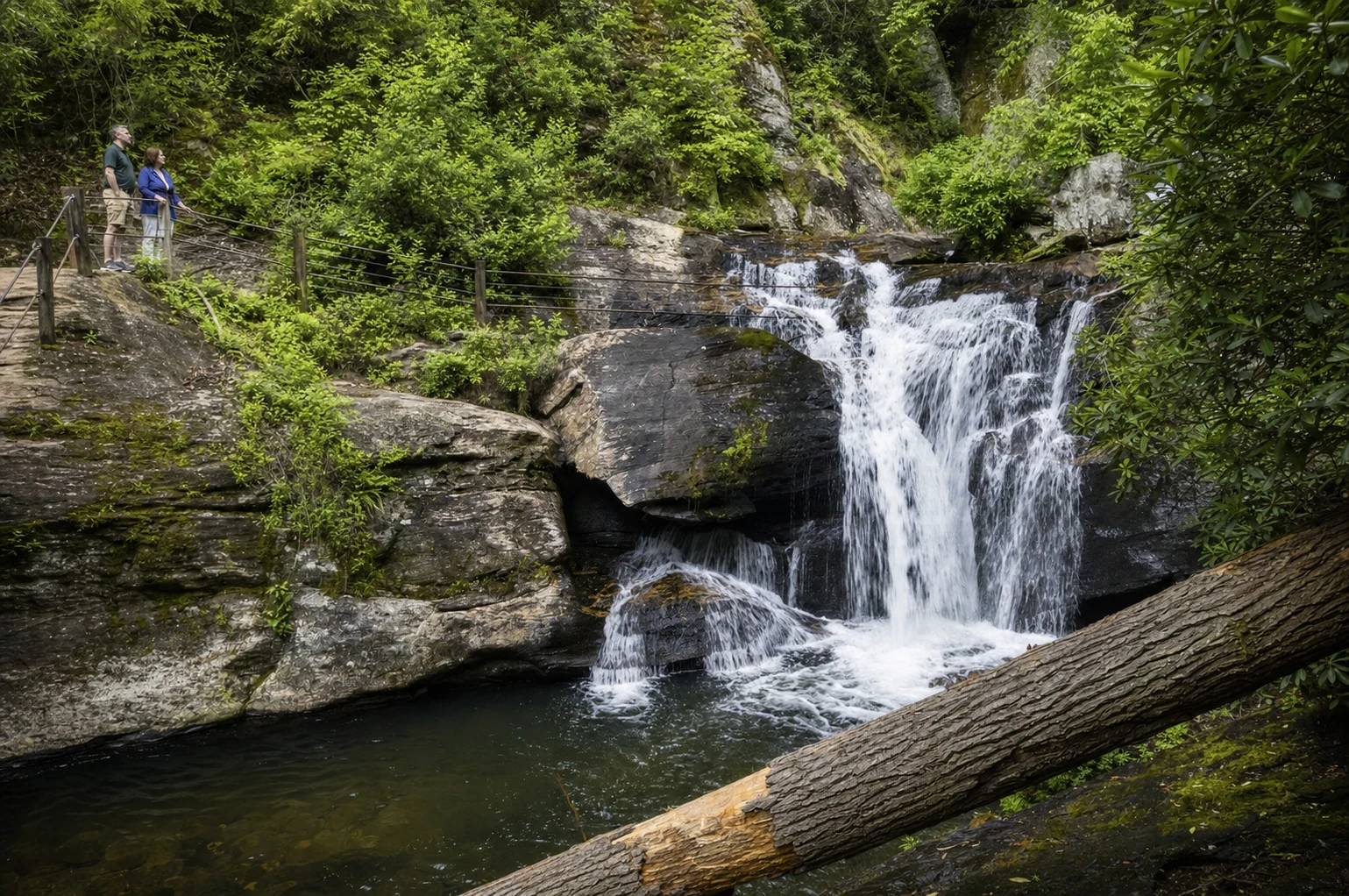 Dukes Creek Falls Trail