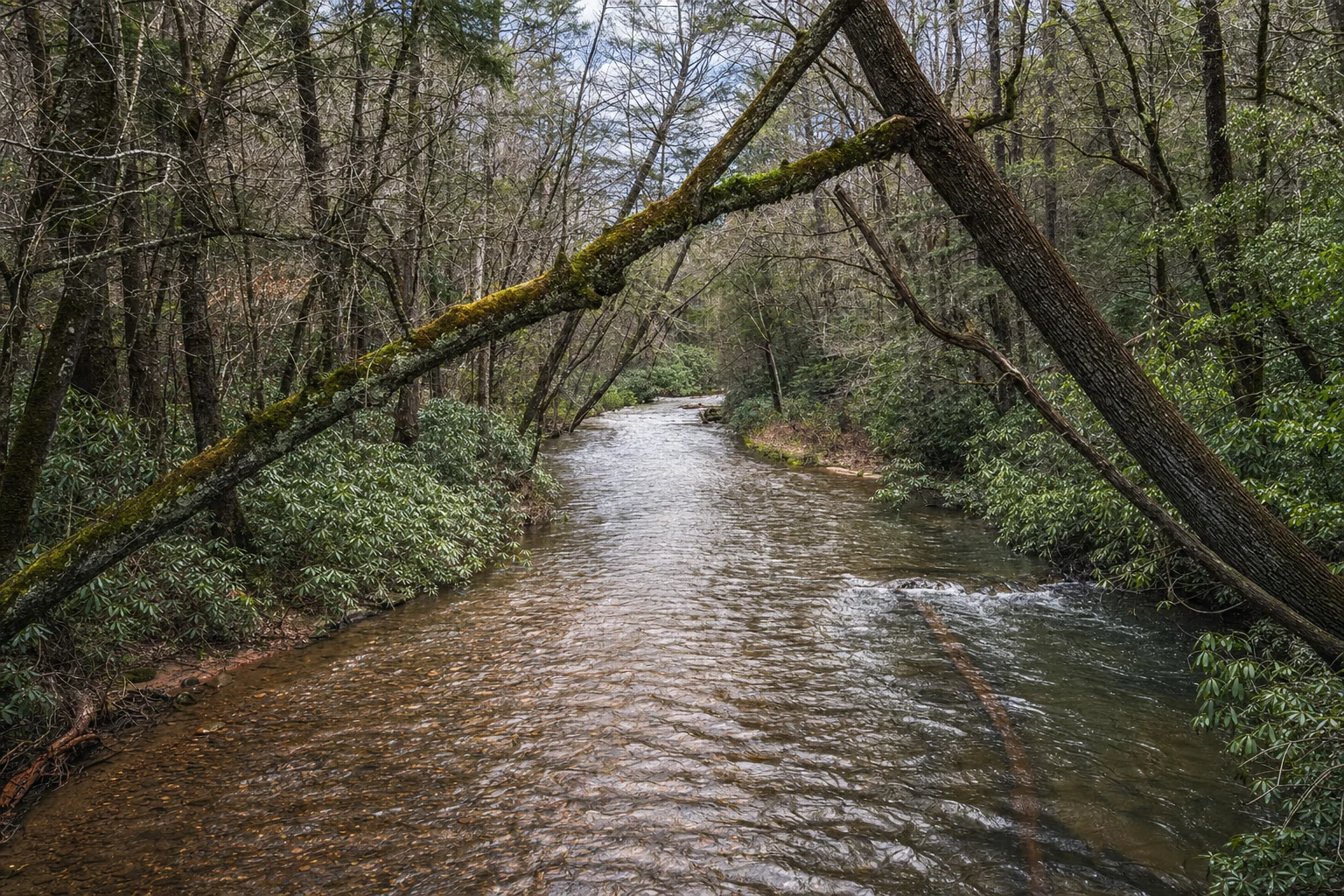 Smithgall Woods Conservation Area