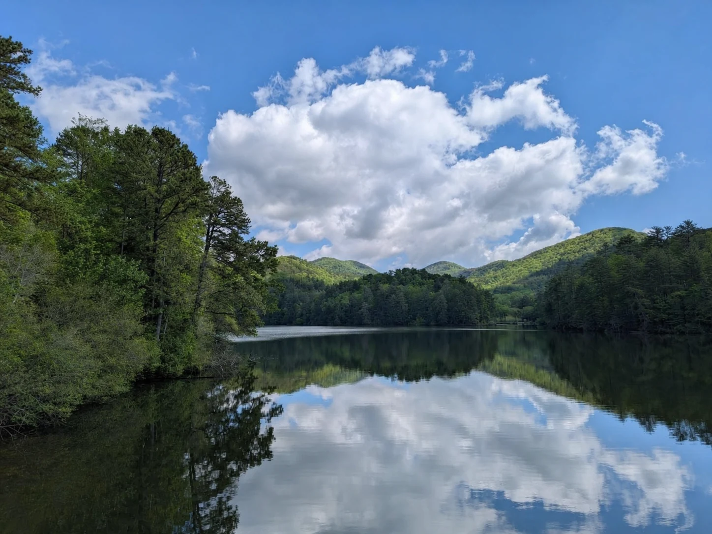 Unicoi Lake Loop Trail