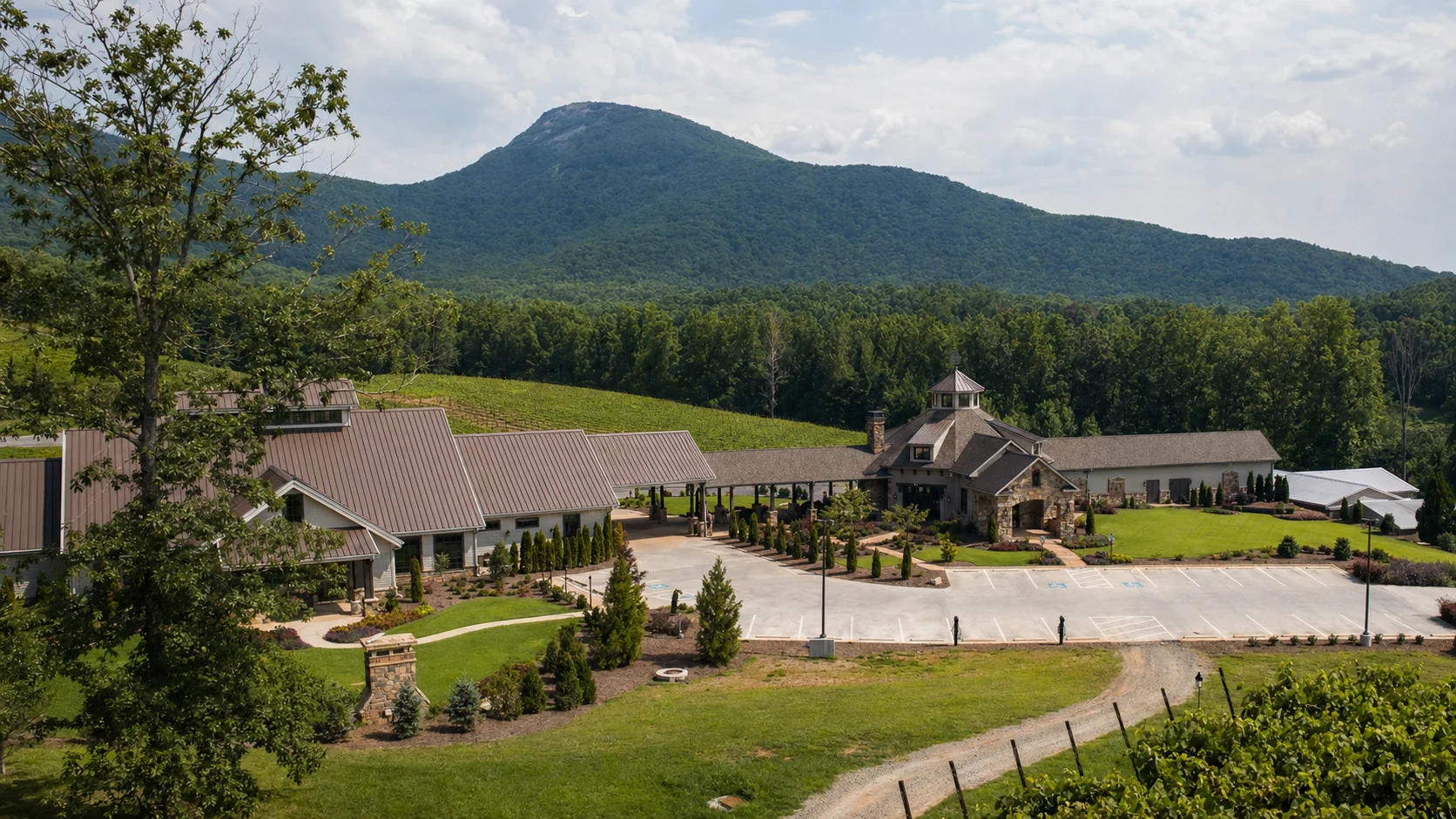 Yonah Mountain Vineyards