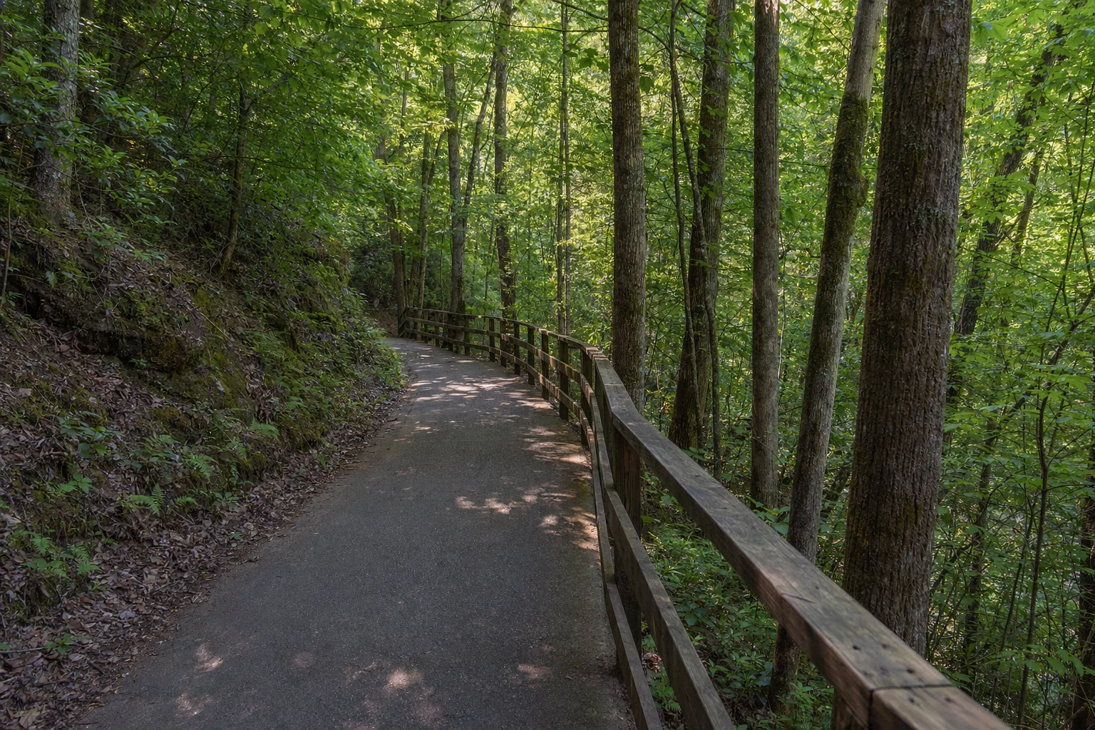 The paved trail to Dukes Creek Falls winds through dense deciduous forest in the Chattahoochee National Forest near Helen, Georgia. The accessible pathway features smooth pavement with wooden railings on one side, descending gradually through the hardwood forest toward the waterfall overlook. Tall oak, maple, and poplar trees tower overhead, their trunks rising straight from the sloping forest floor covered in leaf litter and ferns. Dappled sunlight filters through the canopy, creating patches of light and shadow along the trail surface. The path curves gently out of sight ahead, following the natural contours of the mountainside. This well-maintained trail allows visitors of varying abilities to access one of north Georgia's most scenic waterfalls.
