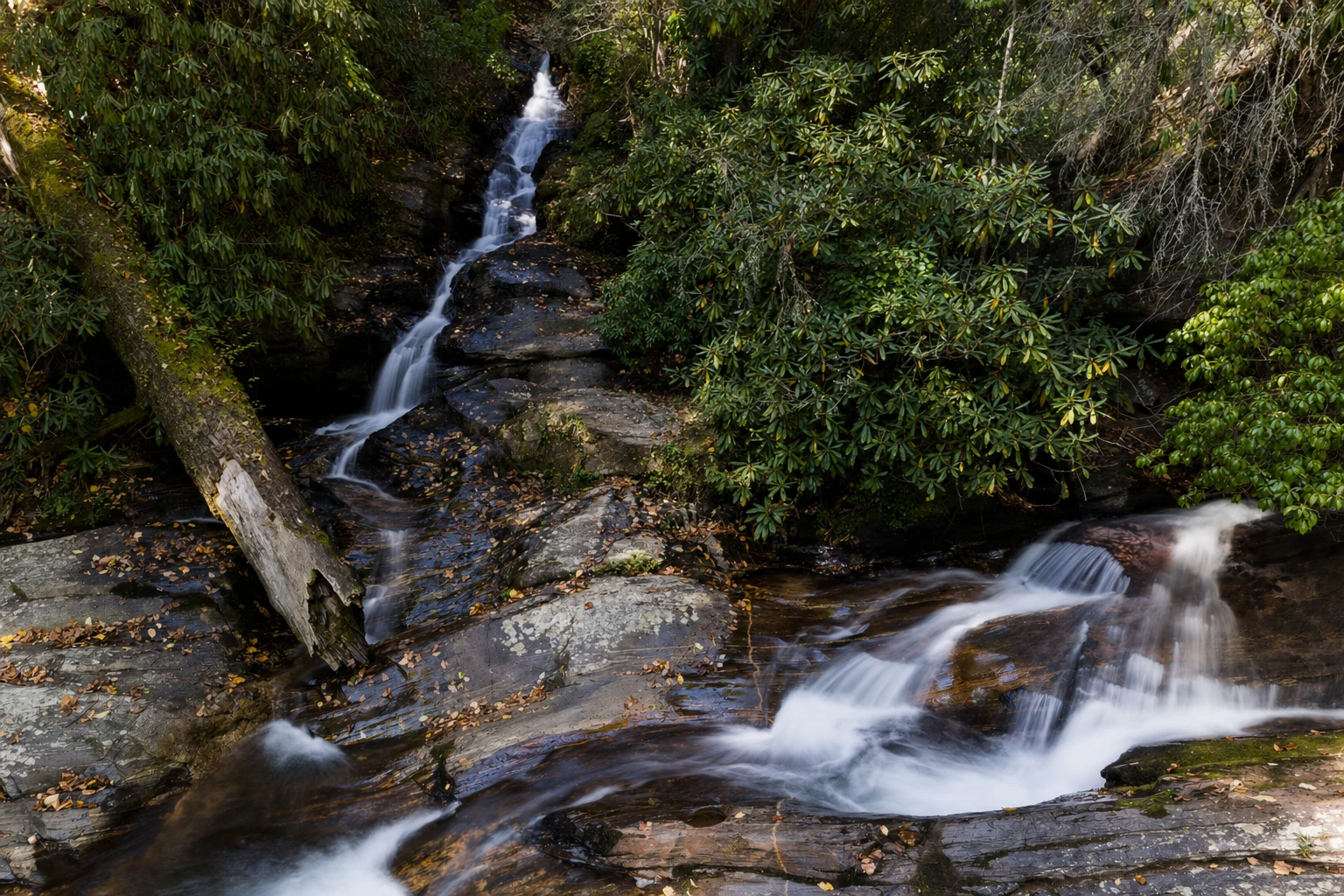Dukes Creek Falls Trail