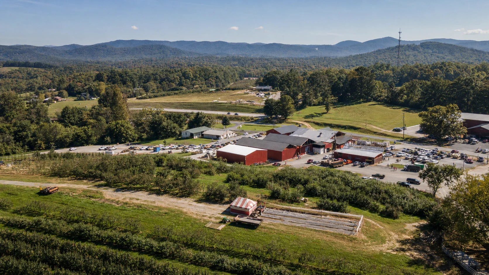 B.J. Reece Orchards