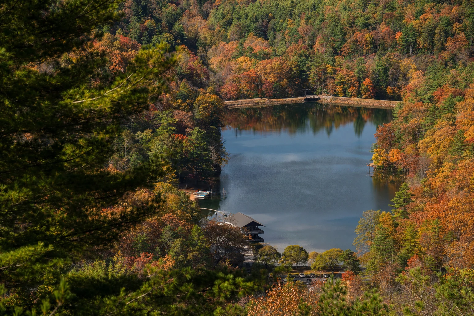 Vogel State Park