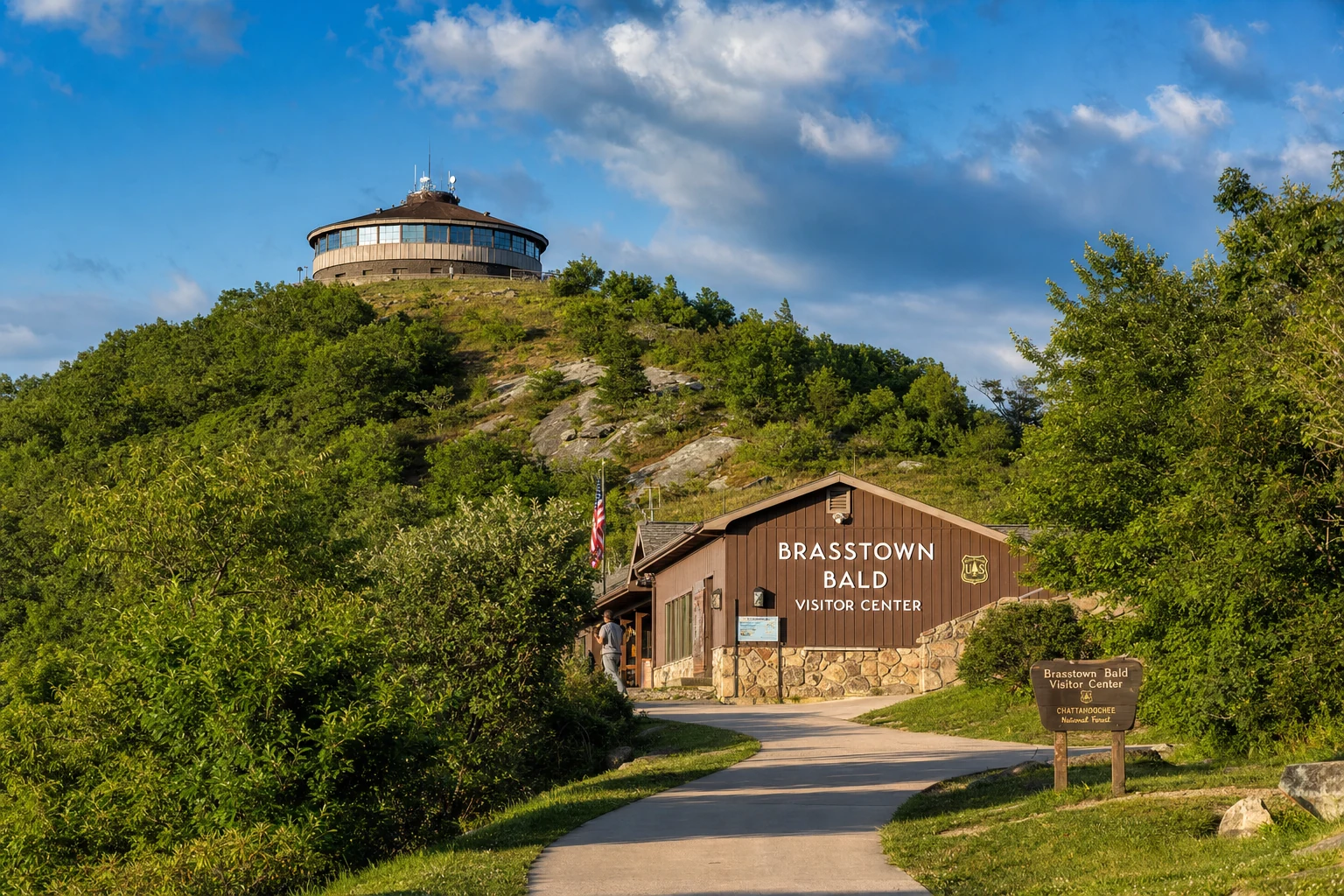 Brasstown Bald