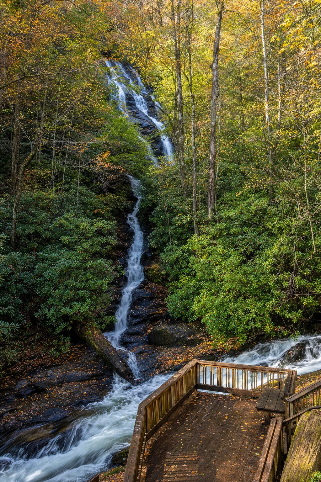 Dukes Creek Falls