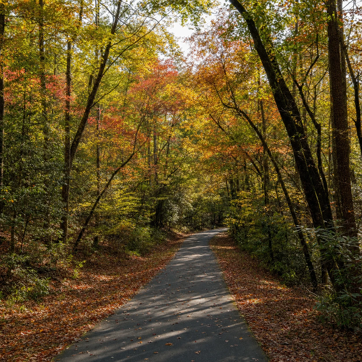 Smithgall Woods Conservation Area