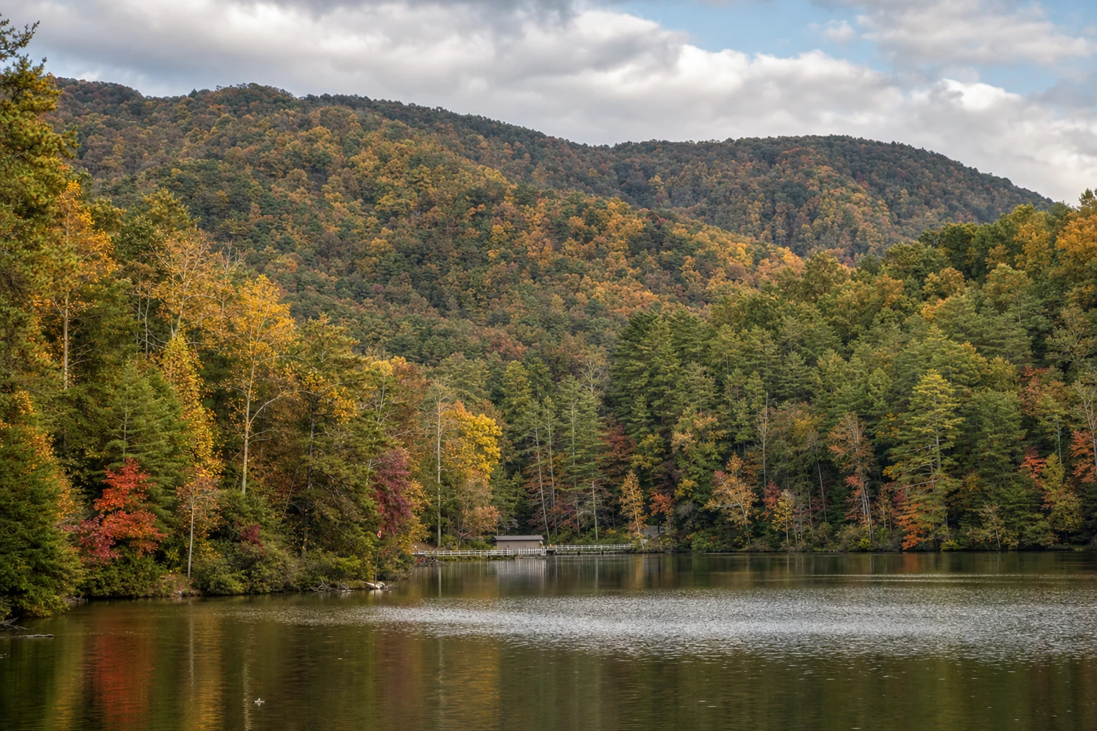 Unicoi Lake