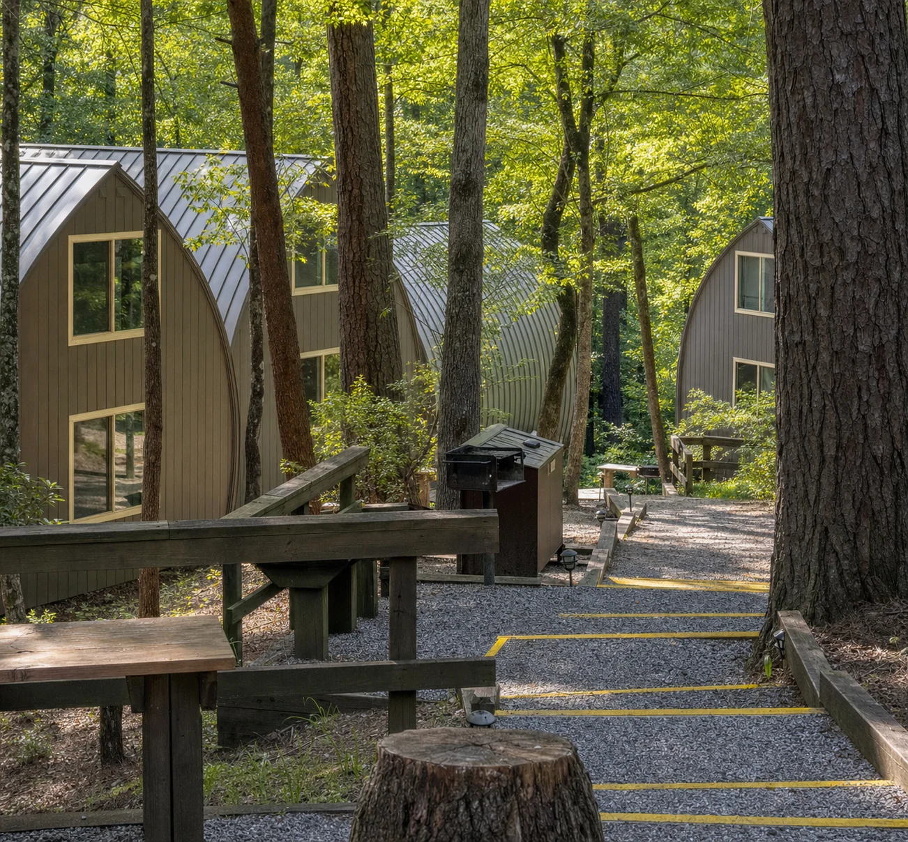 Unicoi State Park Cabins