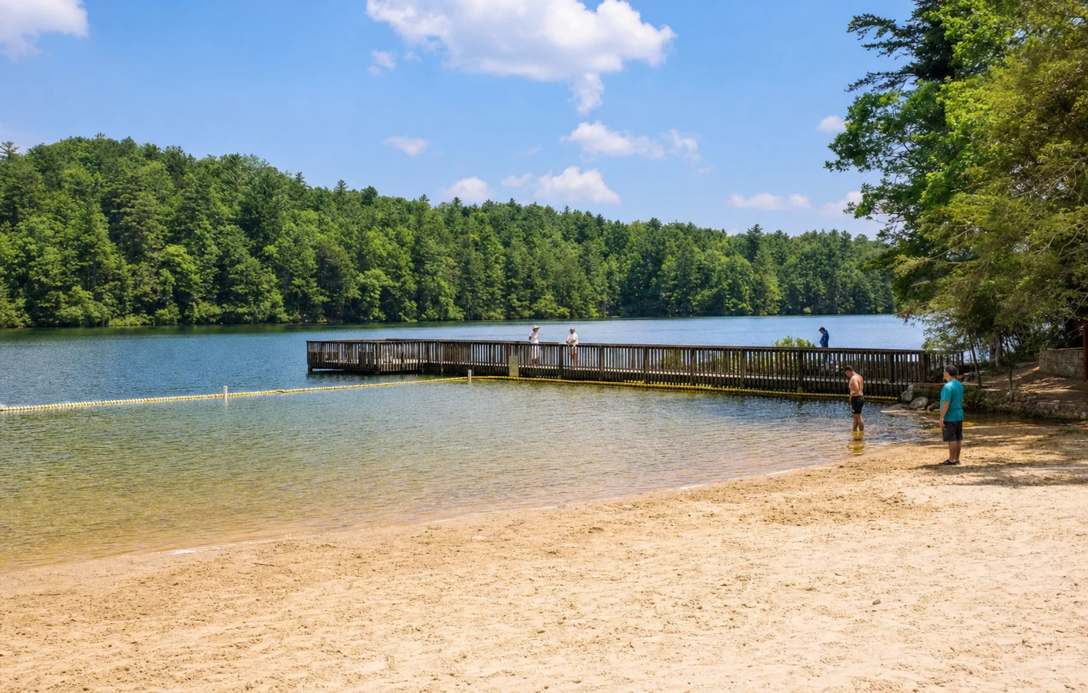 Unicoi State Park Lake Beach