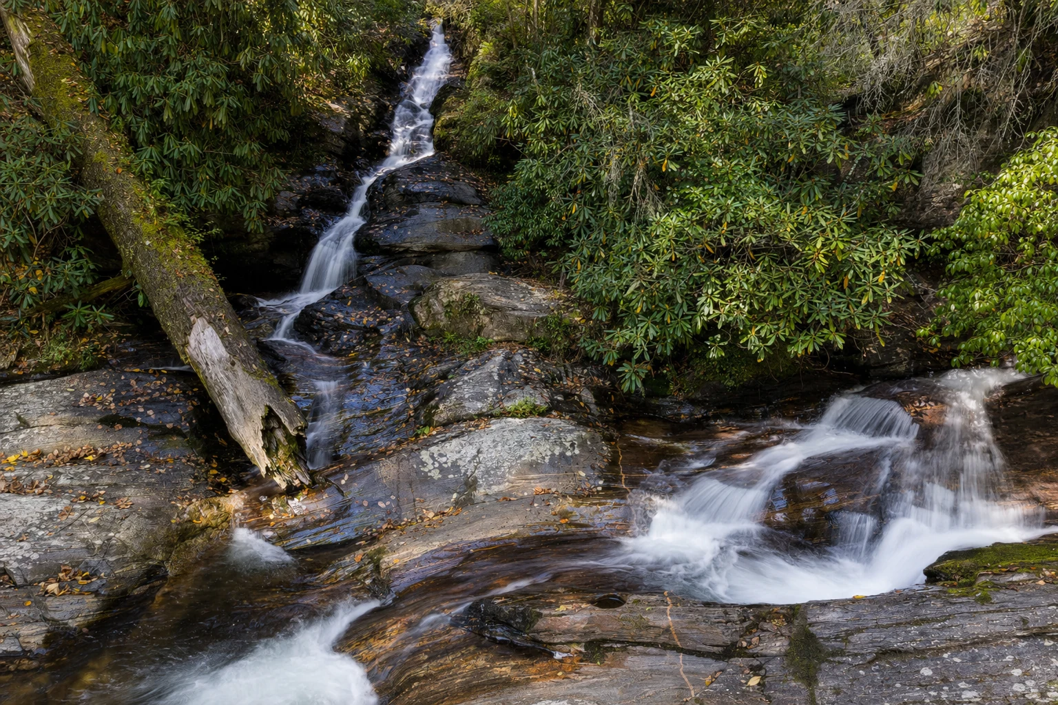 Dukes Creek Falls Trail