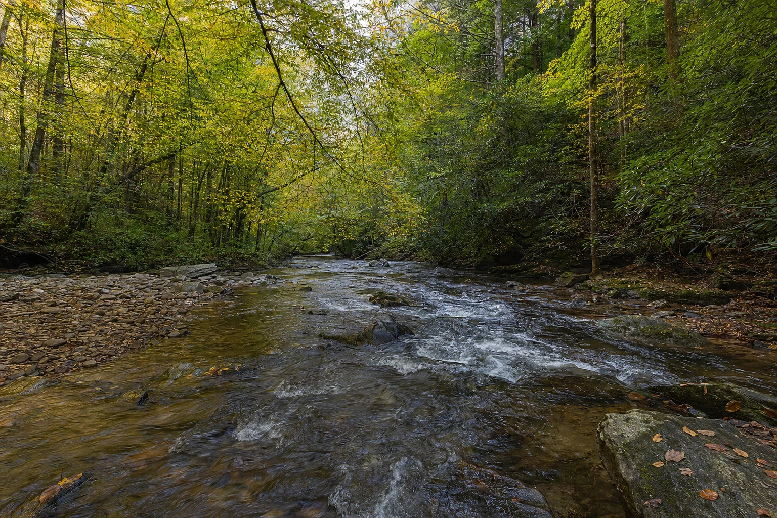 Dukes Creek Fly Fishing