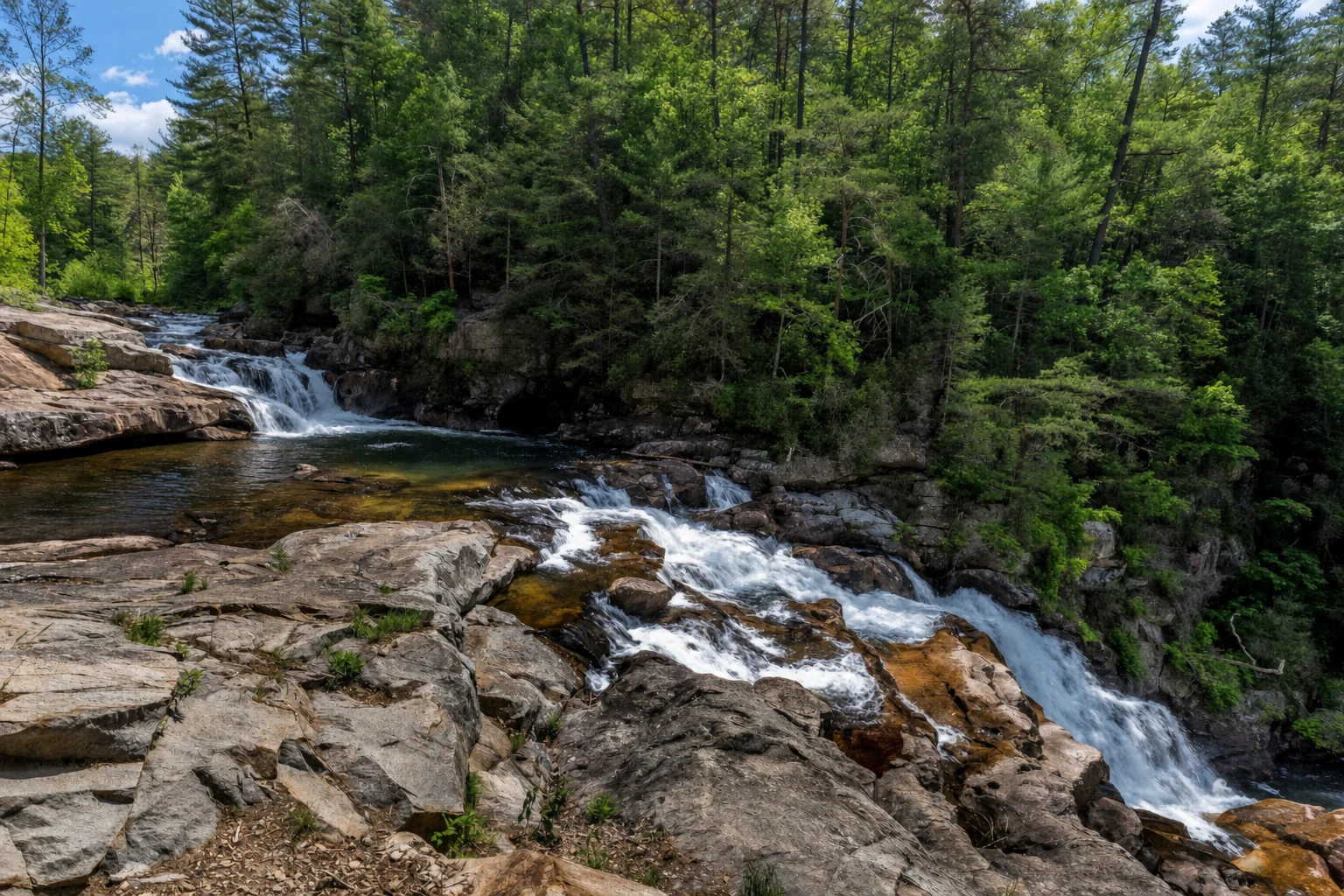 Cohutta Mountains Wilderness