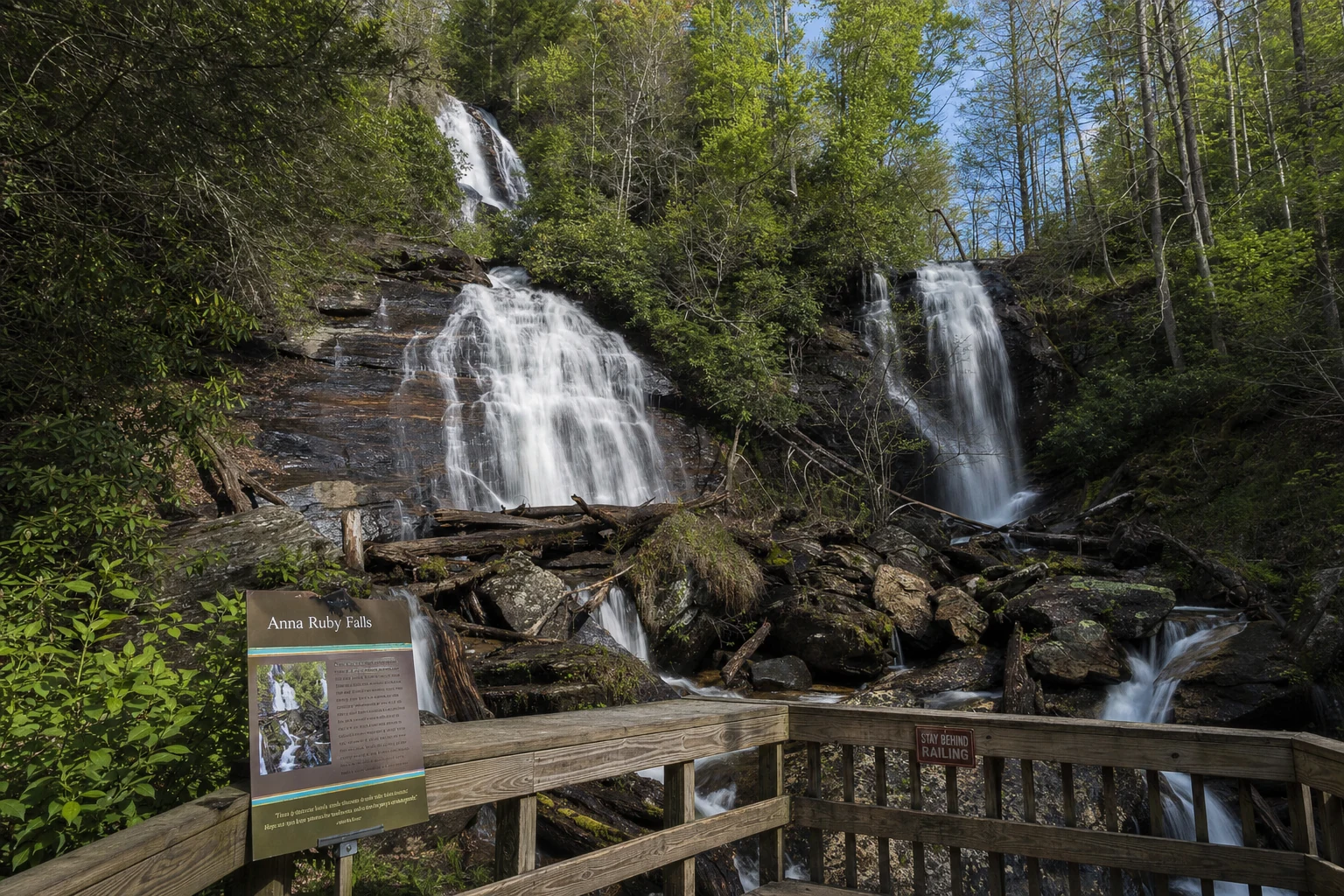 Anna Ruby Falls