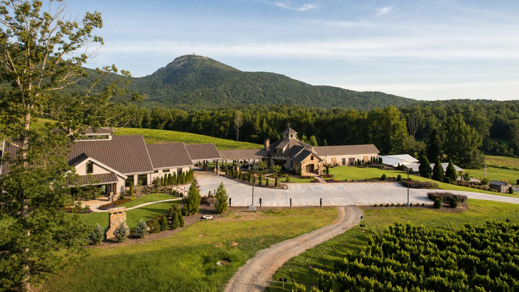 Yonah Mountain Vineyards