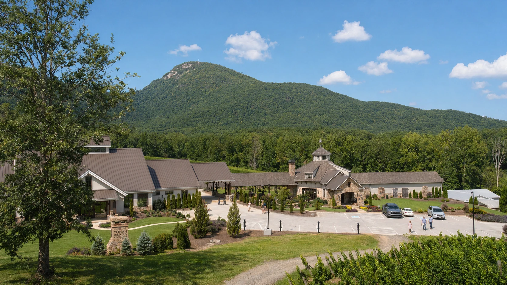 Yonah Mountain Vineyards
