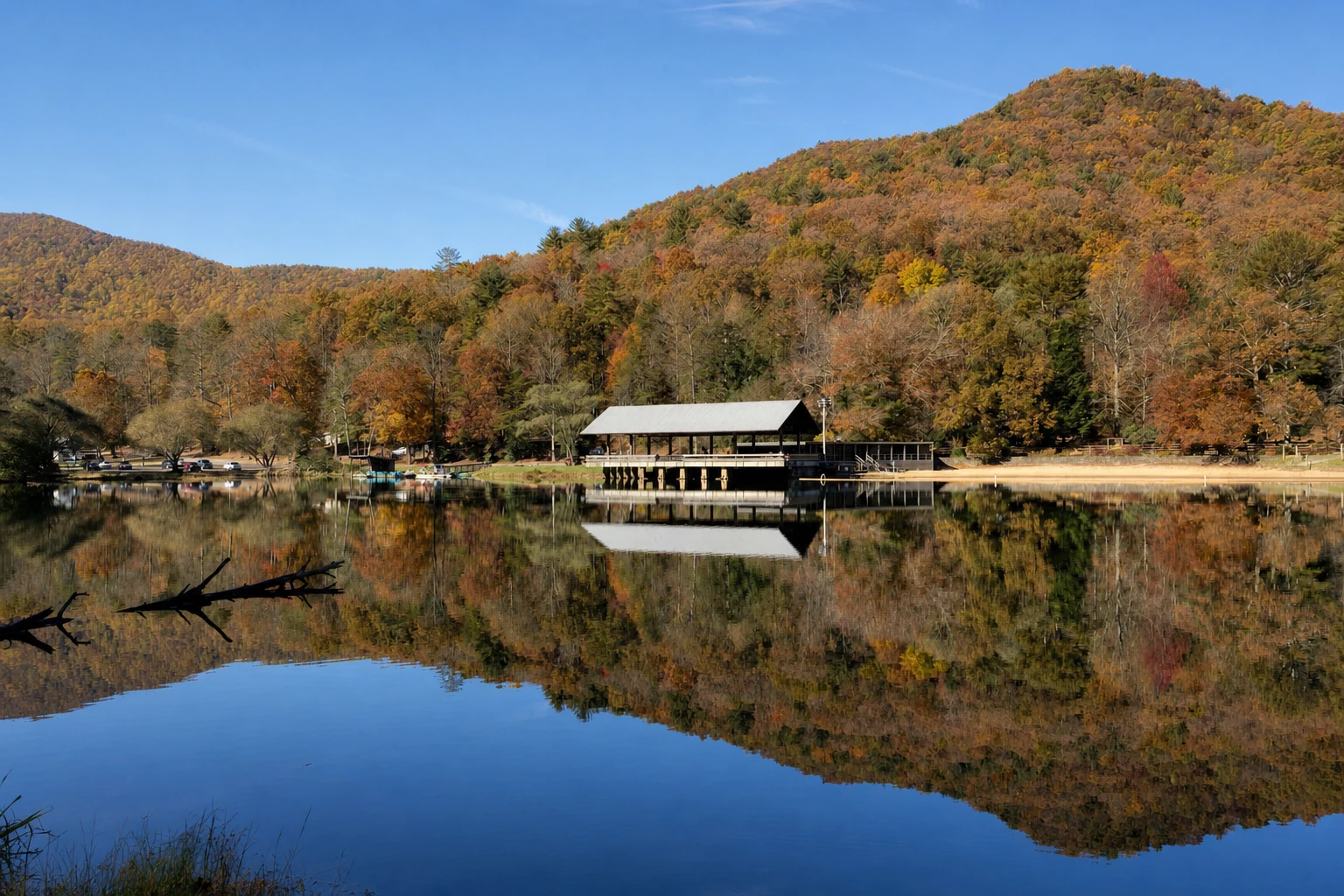 Vogel State Park