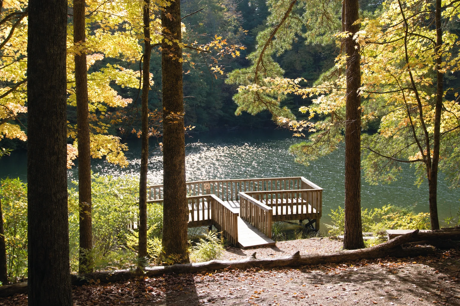 Unicoi State Park