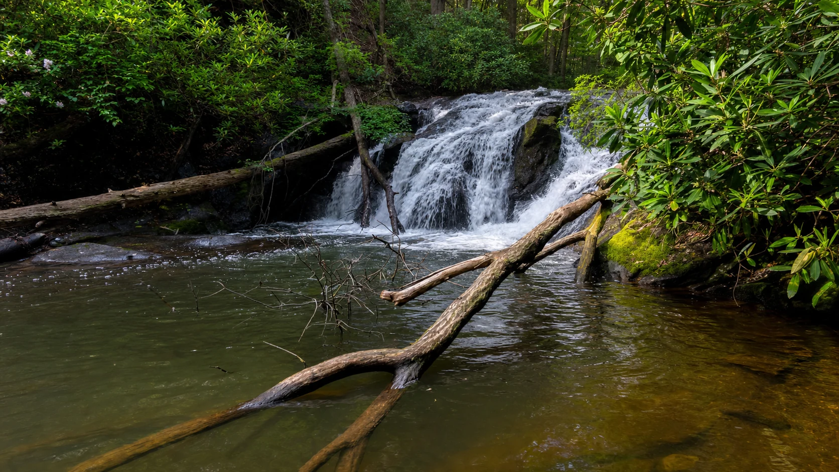 Duke's Creek at Smithgall Woods State Park