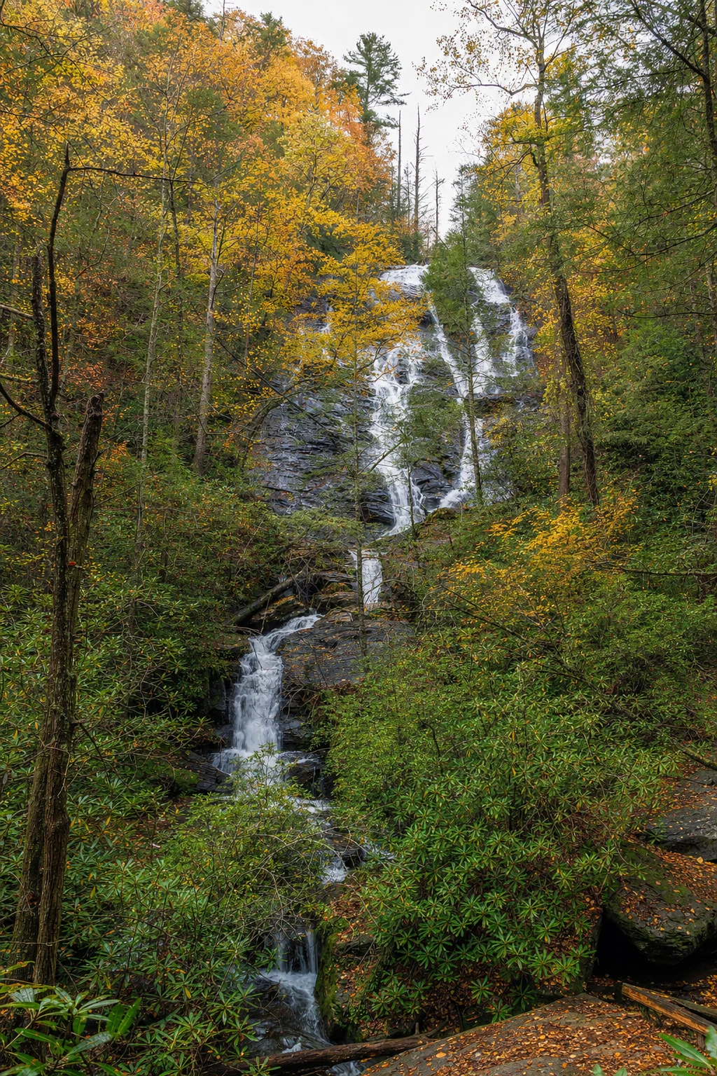 Smithgall Woods State Conservation Park
