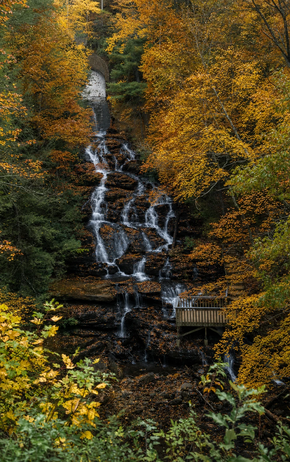 Vogel State Park