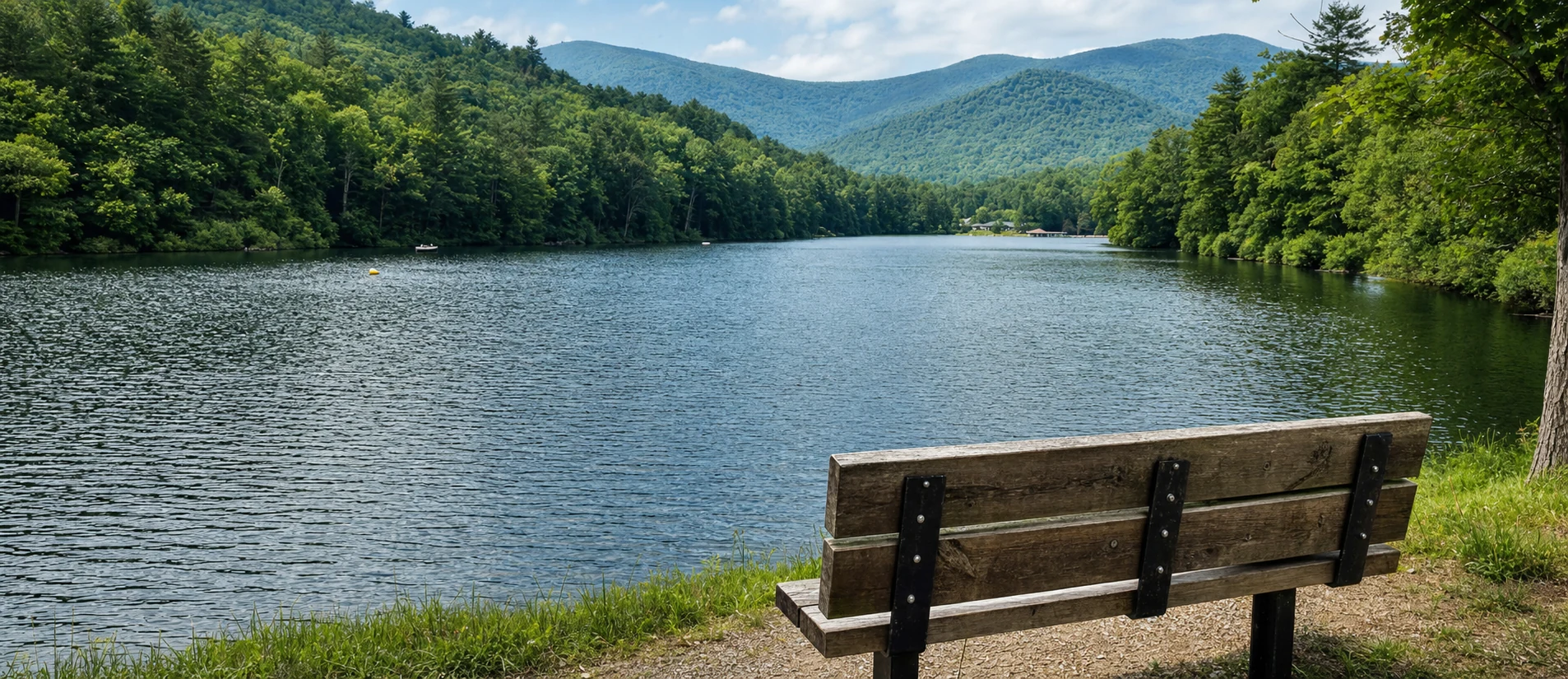 Vogel State Park