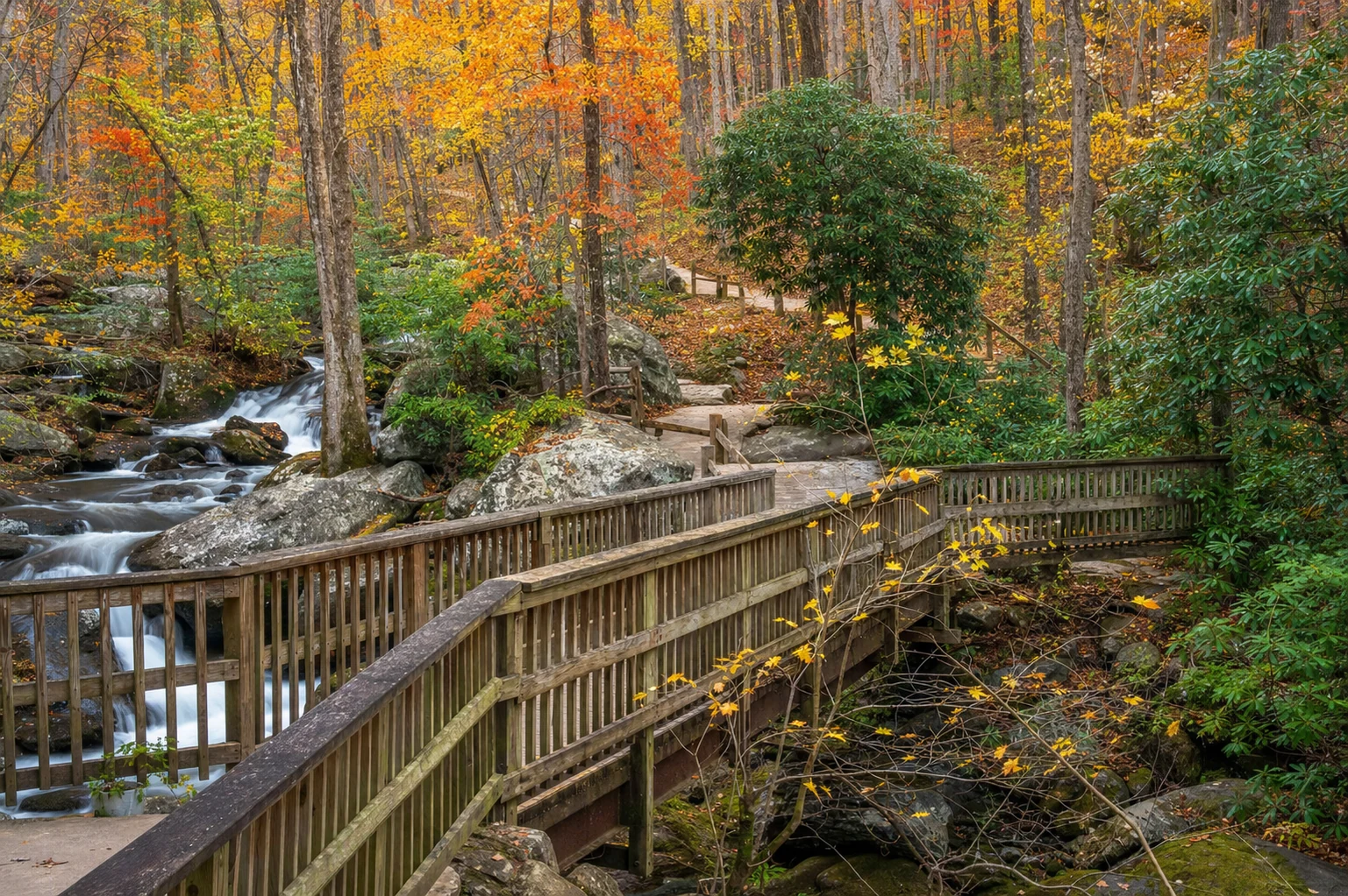 Unicoi State Park