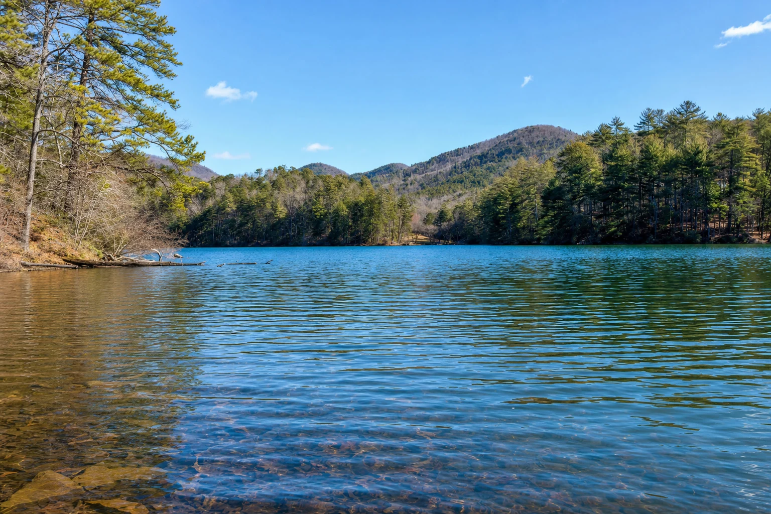 Unicoi State Park
