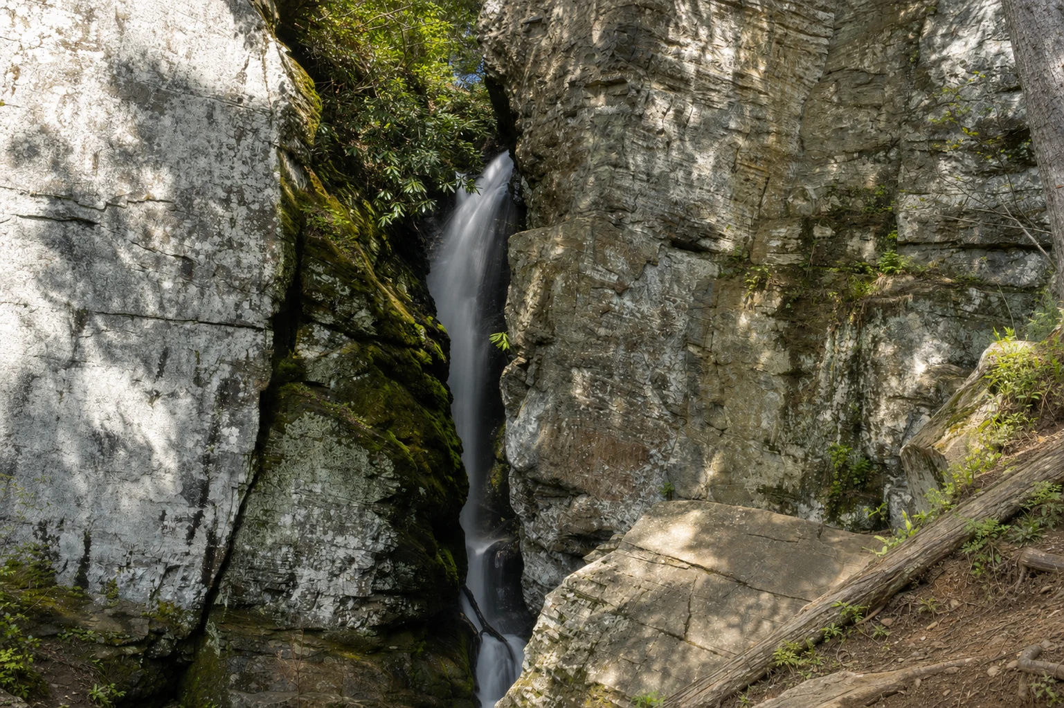 Raven Cliff Falls