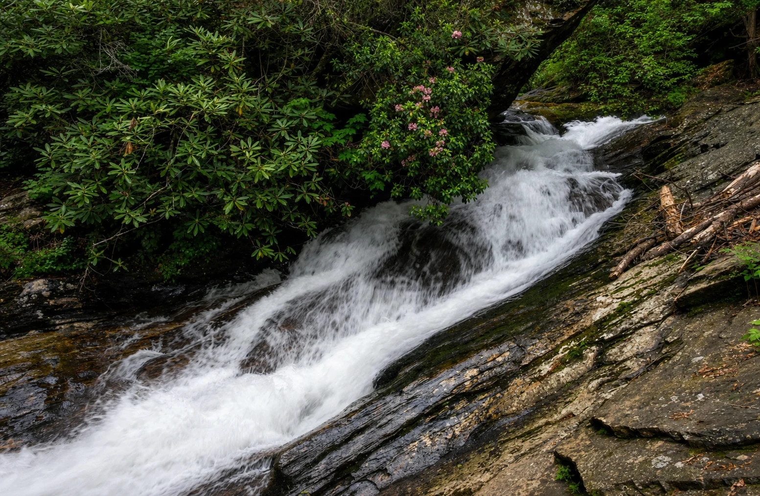 Dukes Creek