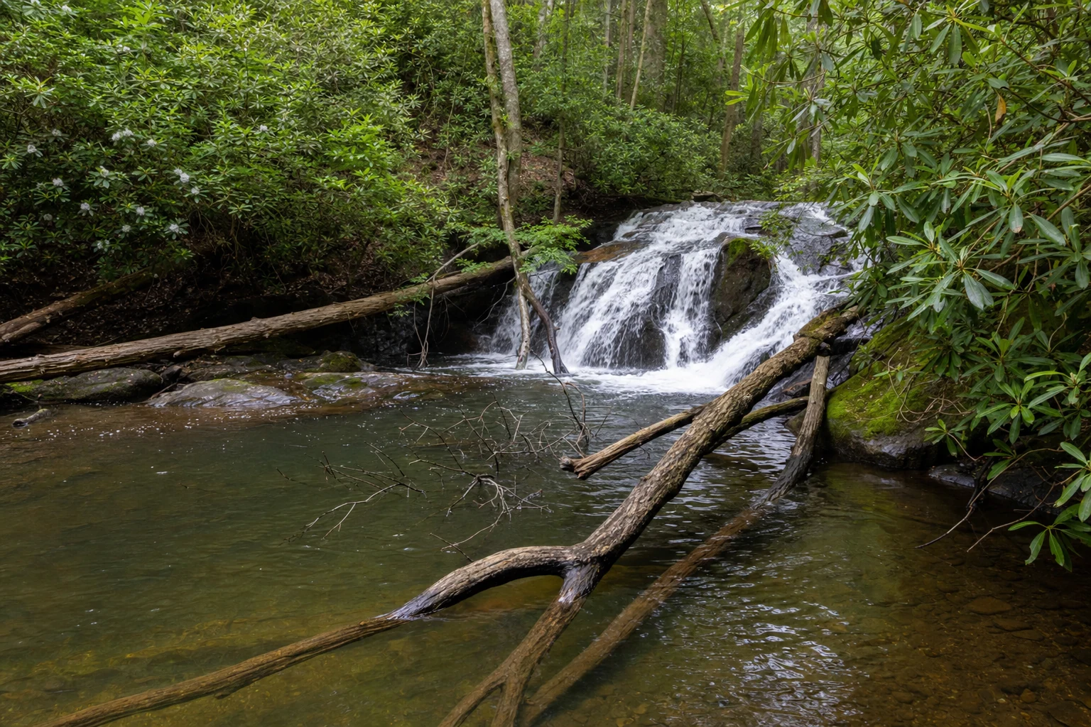 Smithgall Woods State Park
